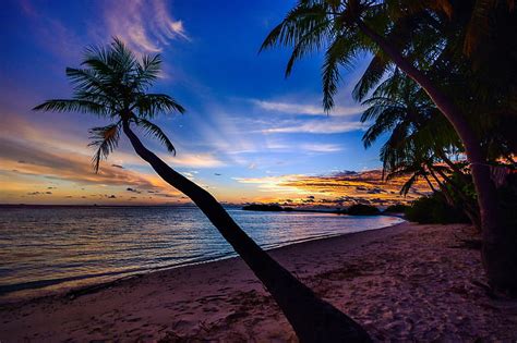Beach Calm Clouds Coconut Trees Dawn Dusk Footsteps Idyllic