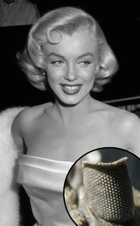 A Tragic Ending From Marilyn Monroe A Life In Pictures E News