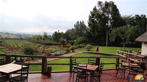 Ngorongoro Farmhouse Lodge Tanzania Safari365 Youtube