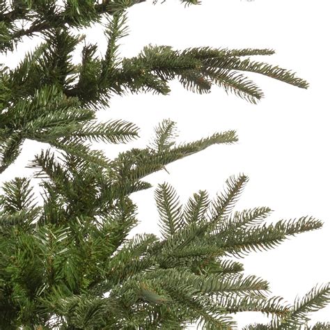 Everlands Nobilis Fir Christmas Tree 210cm 7ft — Mid Ulster Garden