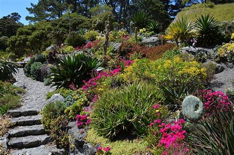 Xeriscaping The Answer To Your Dry Garden Woes Mr Plant Geek