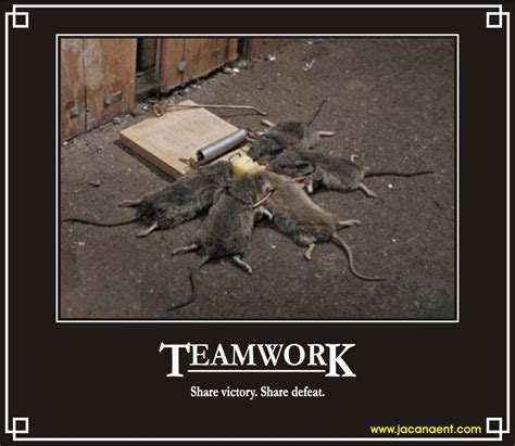 See more ideas about teamwork quotes, inspirational quotes, teamwork. Funny Quotes About Teamwork. QuotesGram
