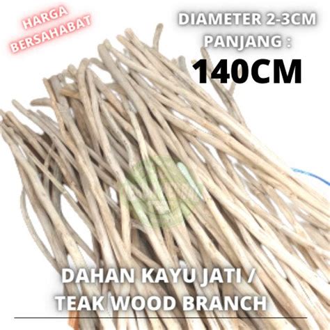 Jual Promo Teak Wood Branch 140 Dahan Ranting Kayu Jati Macrame Craft