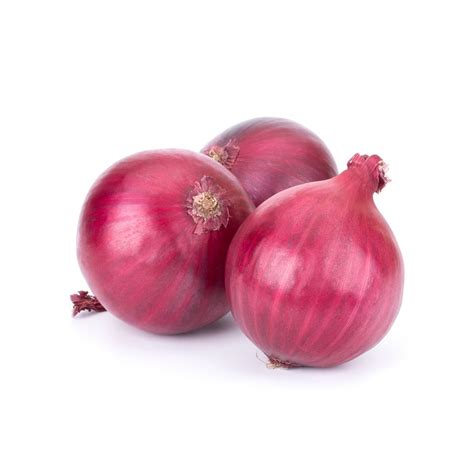 1000 Red Grano Onion Seeds Heirloom Non Gmo Onion Seeds Etsy
