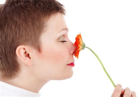 Looking for online definition of anosmia in the medical dictionary? Anosmia Latest Facts: Definition, Causes, Types and ...