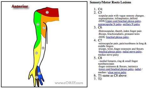 Cervical Brachial Syndrome Icd 10 Captions Trending Update