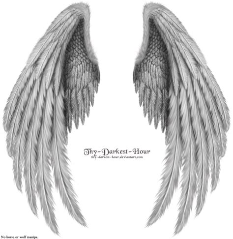 Winged Fantasy V2 Silver By Thy Darkest Hour On Deviantart Wings