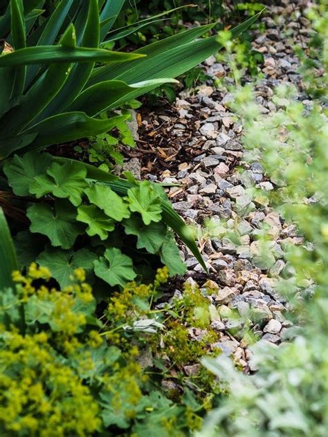 We did not find results for: Unser Familiengarten für "Faule" - Teil 1 - More is Now ...