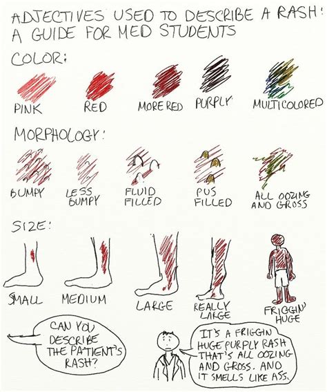 A Cartoon Guide To Becoming A Doctor Adjectives To Describe A Rash A