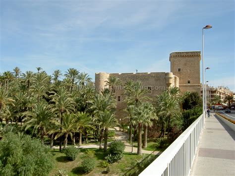 Elx) is a city in the province of alicante, spain. Elche