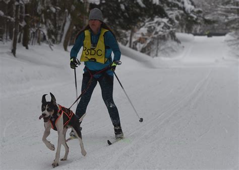 Go Skijoring In Upstate Ny With Cross Country Skis And A Dog That