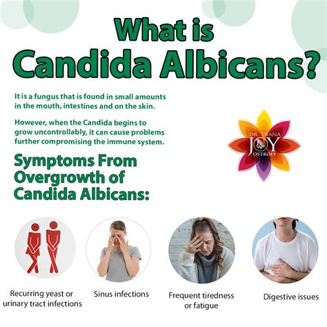 Candida Albicans Symptoms Diagnosis And Treatment Ph
