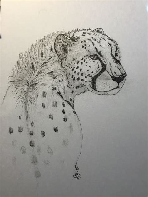Cheetah Pencil And Pen Drawing Cheetah Drawing Violin Art Drawing