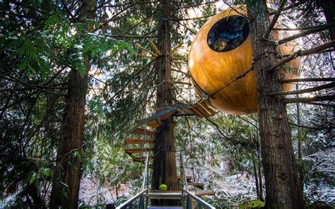 Best Tree House Hotels In The World With Hot Tubs Air Conditioning And Beautiful Views