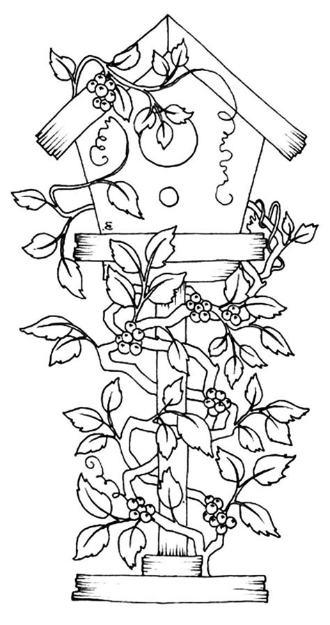 These free coloring pages are available on the series designs and animated characters on getcolorings.com. Birdhouse Coloring Pages at GetColorings.com | Free printable colorings pages to print and color