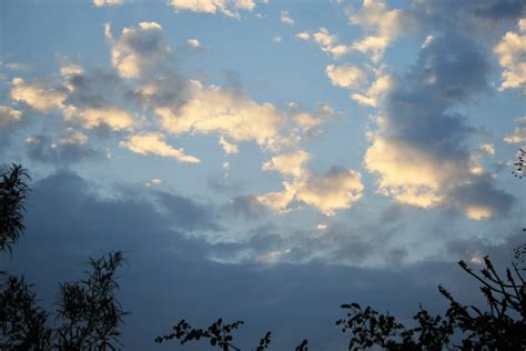 Sunlight On Light Clouds Free Stock Photo Public Domain Pictures