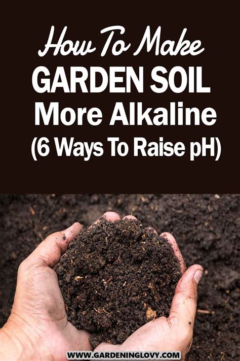 How To Make Garden Soil More Alkaline 6 Ways To Raise Ph Garden Soil