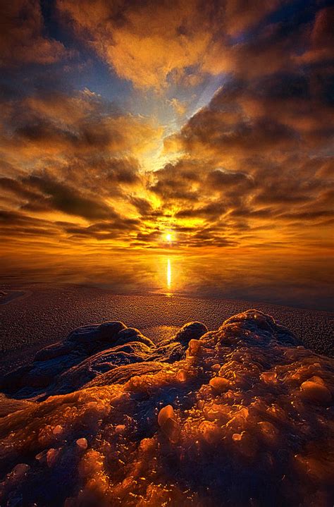 Take Hold Of Me With Your Love Photograph By Phil Koch