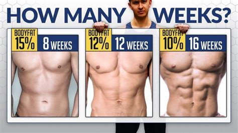 How Many Weeks Will It Take To See Your Six Pack Based On Your Body