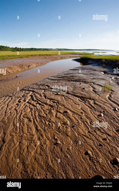 Bay Of Fundy Mud Flats On The Cumberland Basin Part Of The Chignecto