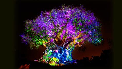 Tree Of Life Animal Kingdom Attractions Walt Disney World Resort
