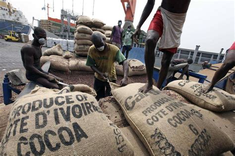 Cocoa Smugglers Rub Hands Over Ghana Price The Globe And Mail