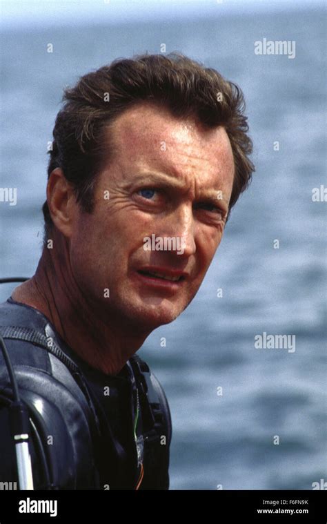 may 10 1991 toronto on canada actor bryan brown stars as rollie tyler in the richard