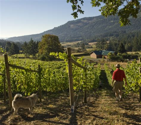 Wineries And Wine Tours In British Columbia Super Natural Bc