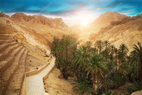Oásis De Montanha Chebika Deserto Do Saara Tunísia África