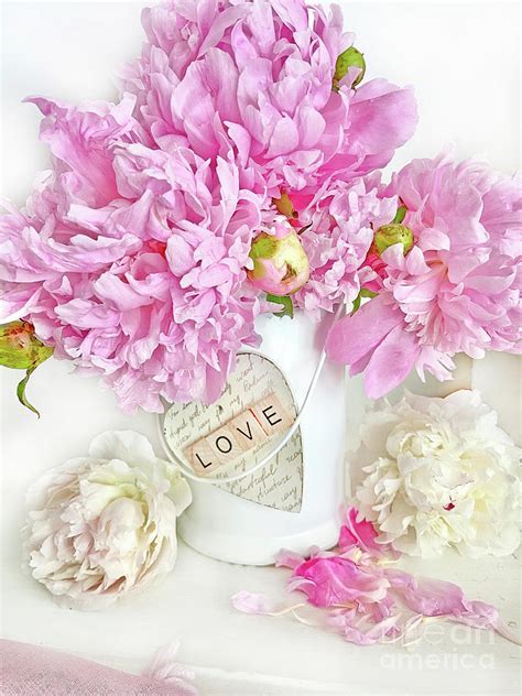 Shabby Chic Pink Peonies Romantic Love Heart Cottage Chic Pink White