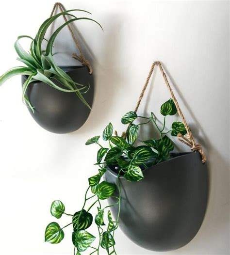 27 Best Wall Hanging Planters For Indoors And Outdoors