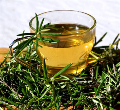 Check spelling or type a new query. Rosemary Tea - Drink Herbal Tea