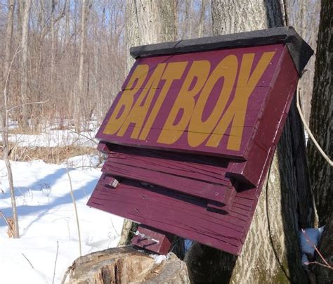 At michigan bat control, inc. 37 Free DIY Bat House Plans that Will Attract the Natural ...