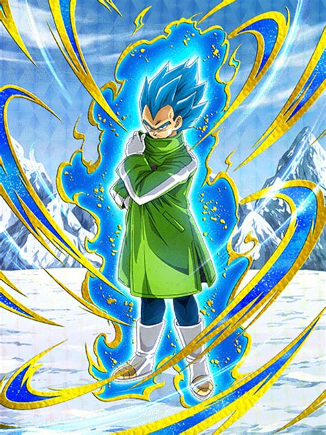 Dragon Ball Animated Series Vegeta Vs Broly Coat Ubicaciondepersonas