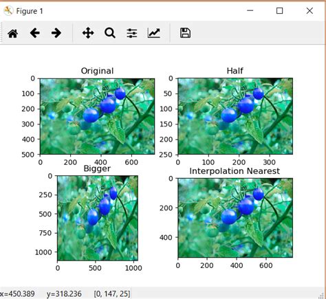Opencv Resize Image Using Cv2 Resize Color Imagecrot Vrogue