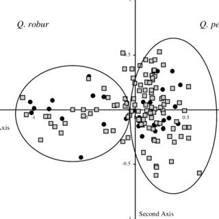 See medical drawing examples and more. (PDF) Characterisation of chloroplast DNA haplotypes to reveal the provenance and genetic ...