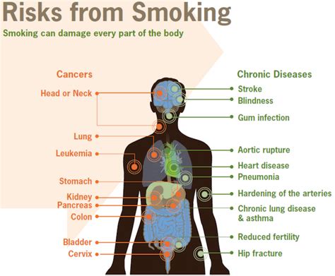 Effects Of Smoking On Your Health And Free Resources To Help You Quit Uspm