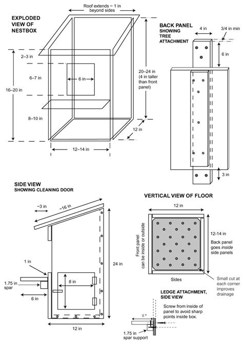 Bird In Everything Bird Nesting Box Plans