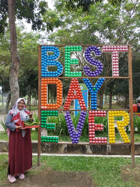 Memang keluarga panutan semua umat! 31+ Populer Gambar Pemandangan Alam Yang Ada Burungnya ...