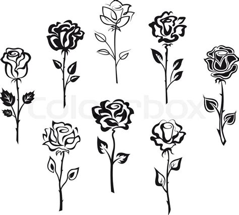 Set Of Rose Flowers Stock Vector Colourbox
