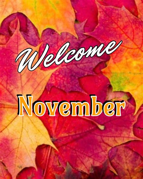 The Words Welcome November Are Surrounded By Autumn Leaves