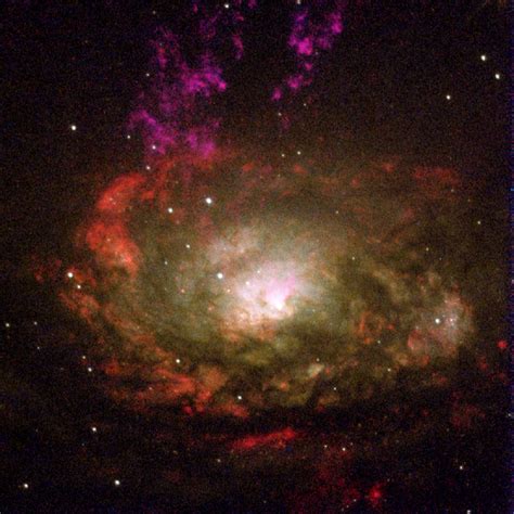 Annes Picture Of The Day Circinus Galaxy Think Research Expose