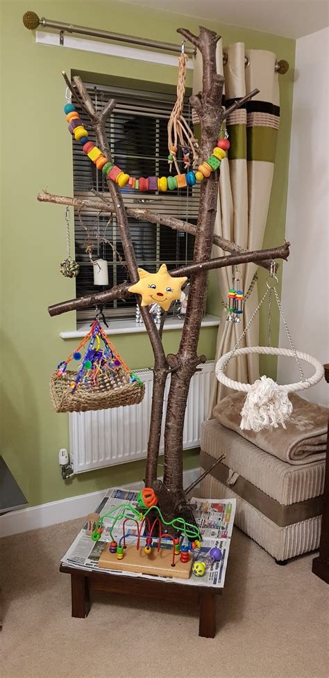African Grey Play Stand Homemade Bird Toys Parrot Play Stand Parrot