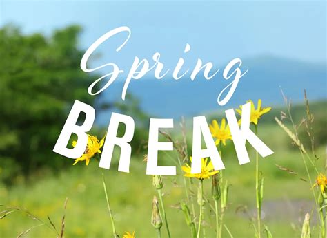 7 Ways To Prepare For Spring Break Whether You Are Staying Or Going American Legend Homes