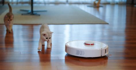 Best Robot Vacuum Cleaners For Houses With Dogs Cats And Other Pets