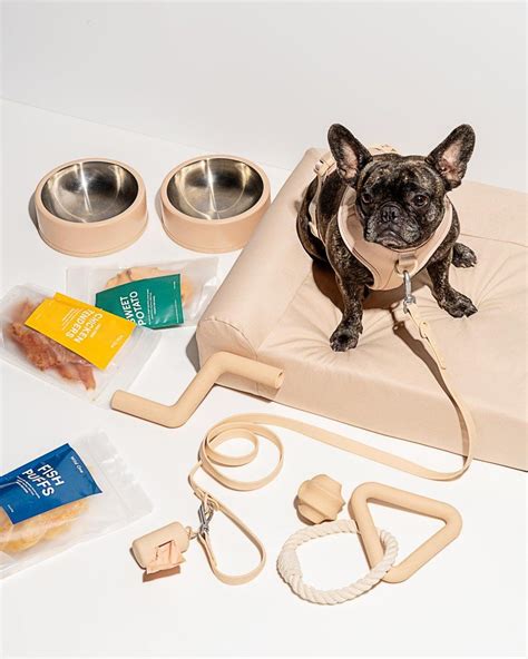 New Dog Starter Kit Dog Accesories Dog Essentials Dog Toys