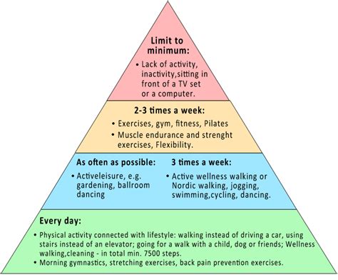 Wellness Movement Activity And Physical Activity Florida Wellness