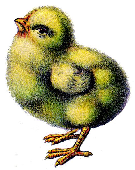 Easter Clip Art Fluffy Chicks Peeps The Graphics Fairy