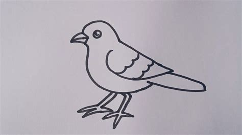 How To Draw A Sparrow Easy Sparrow Bird Drawing Step By Step Youtube