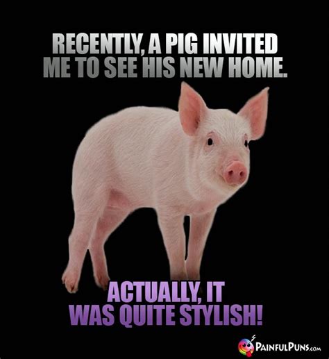 Pig Jokes Bacon Puns Hog Humor 2